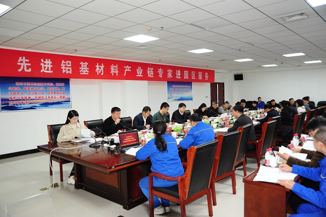 河南省先进铝基材料产业链专家进园区服务活动座谈会在万基召开